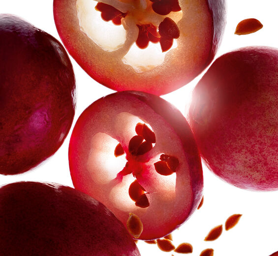 العنبية حادة الخباء-زيت العنبية حادة الخباء العضوي-Vaccinium macrocarpon (cranberry) seed oil