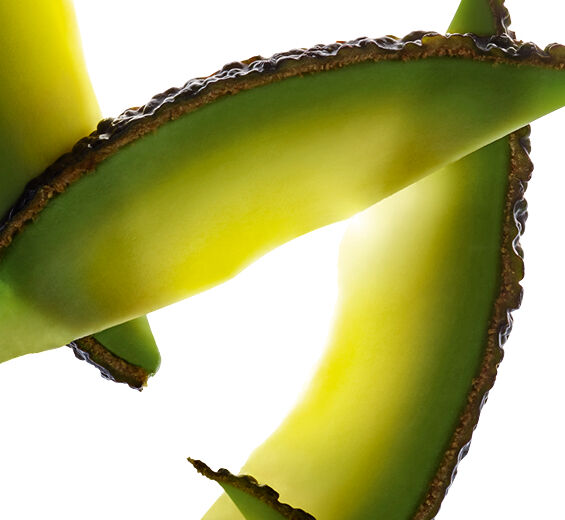 Avocado-Avocado peptides-undefined