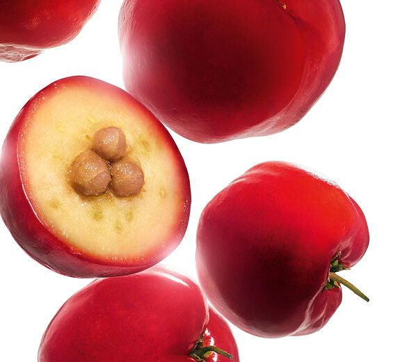 Acerola-Acerola extract (organic plant)-Malpighia emarginata (acerola) fruit extract