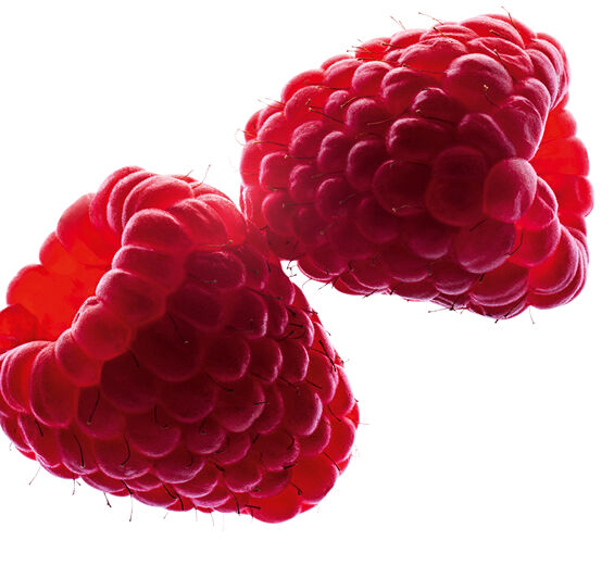 Raspberry bush-Raspberry oil-Rubus idaeus (raspberry) seed oil