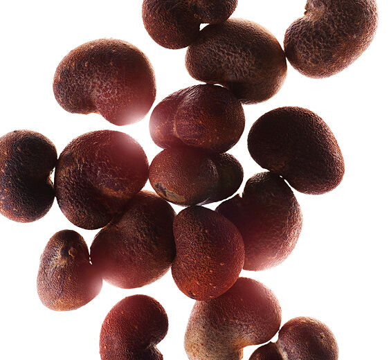 Baobab-Baobab extract-Hydrolyzed adansonia digitata extract