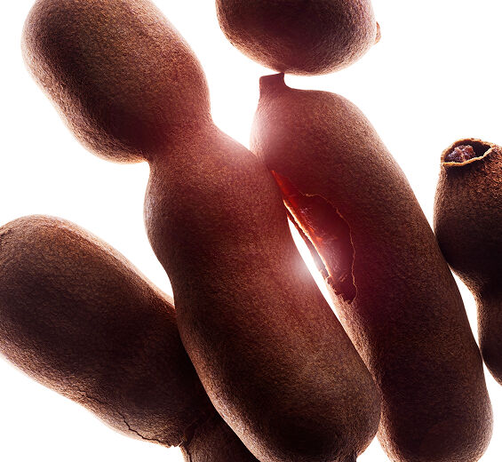 التامانو-زيت التامانو العضوي-Calophyllum inophyllum seed oil