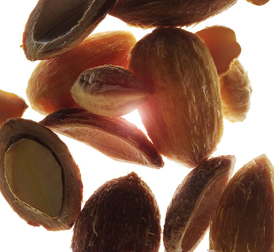 الهجليج المصري-مستخلص الهجليج المصري العضوي-Balanites roxburghii seed oil