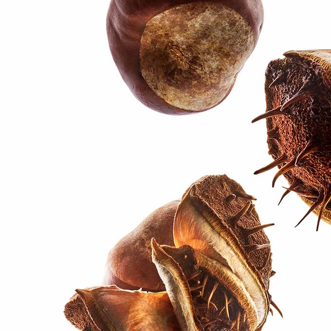 Nutri-Lumière Day Cream - All Skin Types