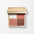 All-In-One Palette Summer Collection