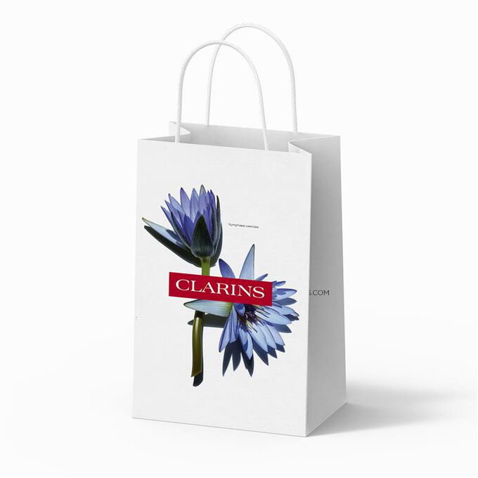 Clarins Gift Bag