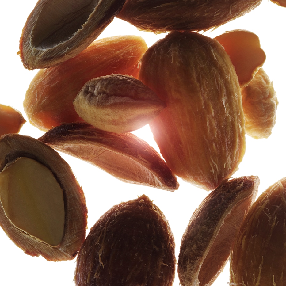 الهجليج المصري-مستخلص الهجليج المصري العضوي-Balanites roxburghii seed oil