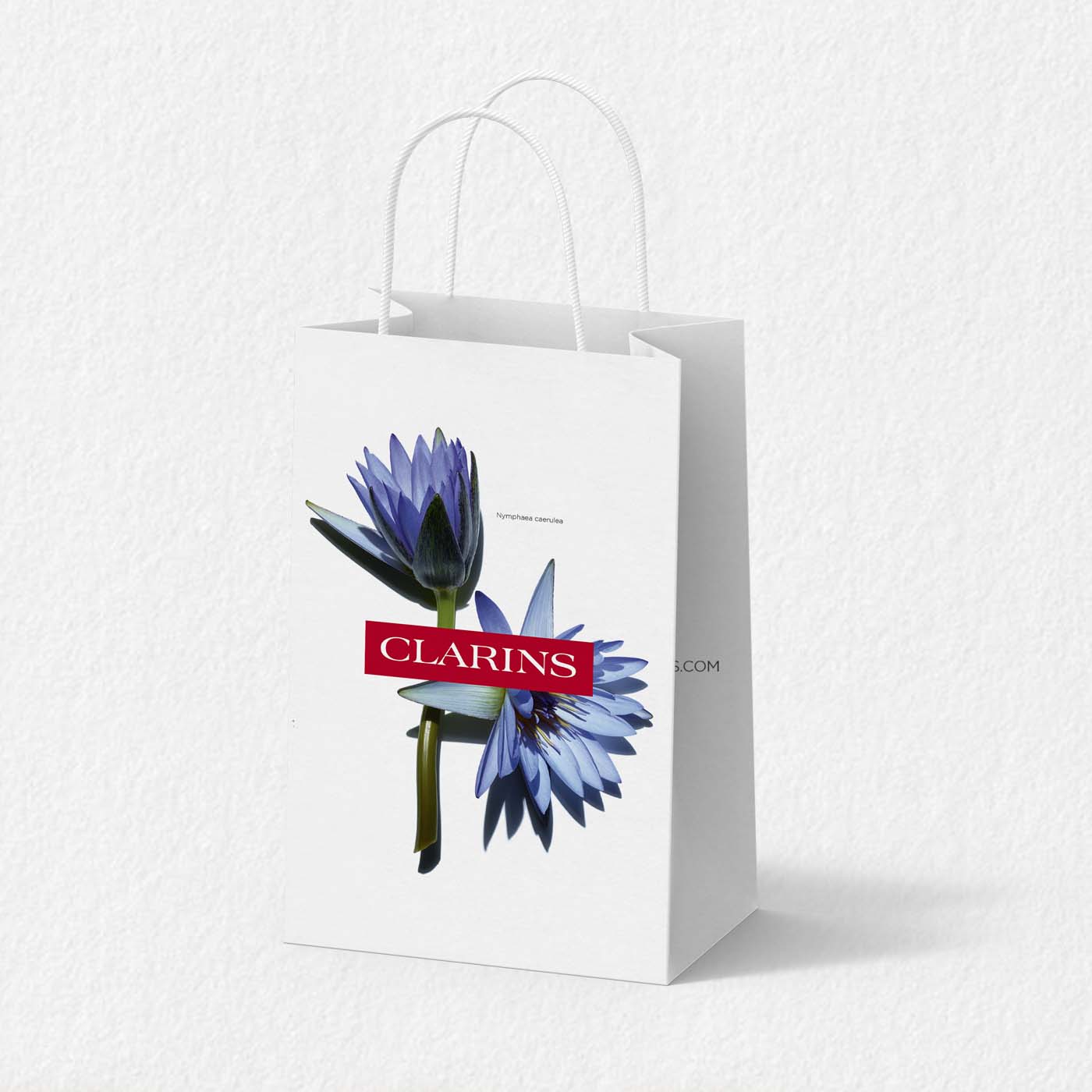Clarins Gift Bag